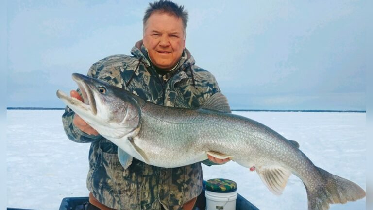 Natural Bait for Ice Fishing: What Works Best for US Anglers