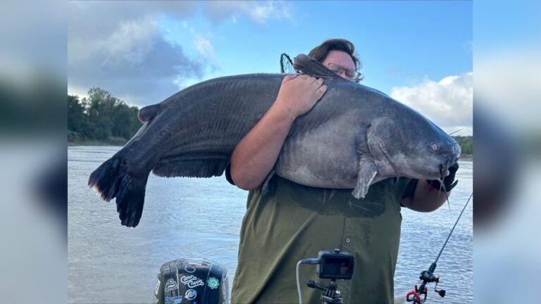 Louisiana Catfish Fishing: Expert Tips for a Bountiful Catch