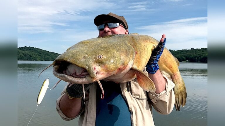 Tennessee Catfish Fishing: Top Spots, Tips, and Tactics