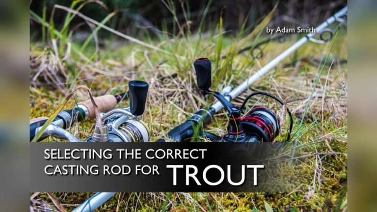 Type of Rod for Trout Fishing: Top Picks for Every Angler